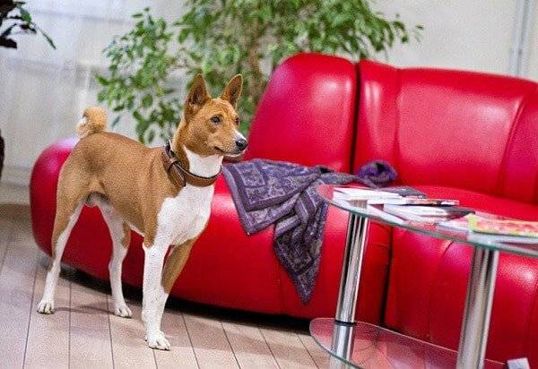 Фото Гостиницы 40-й меридиан Арбат Коломна 63